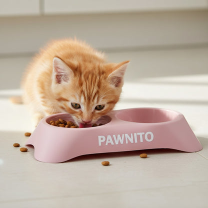 Eco-Friendly Double Pet Diner