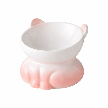 Ergonomic Gradient Ceramic Bowl